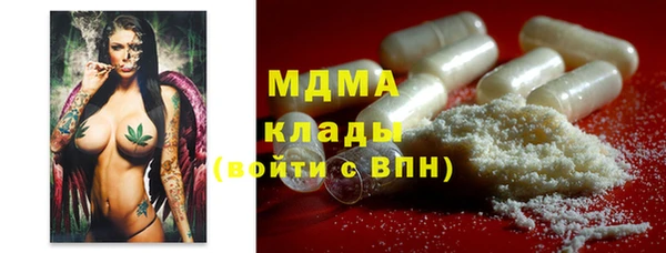 хмурый Аркадак