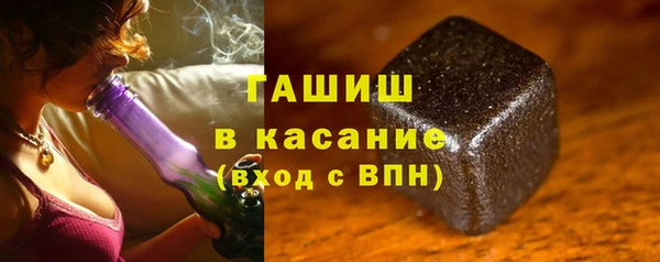 хмурый Аркадак