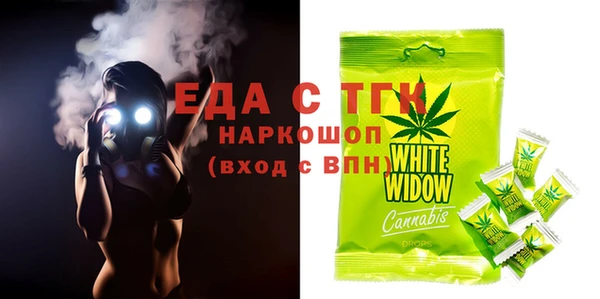 хмурый Аркадак