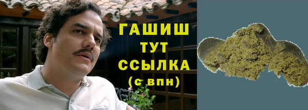 хмурый Аркадак