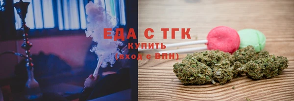 хмурый Аркадак
