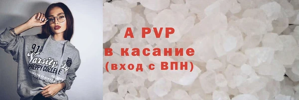 хмурый Аркадак