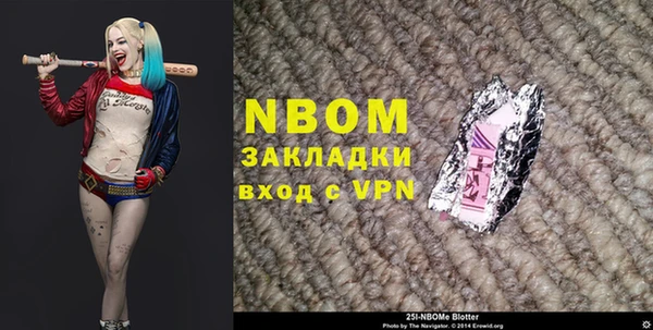 хмурый Аркадак