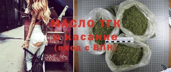 хмурый Аркадак