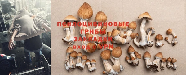 гидропоника Арсеньев