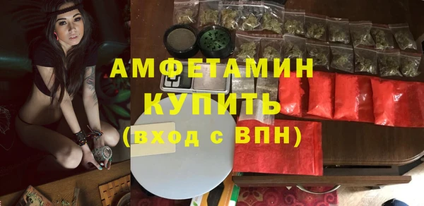 хмурый Аркадак