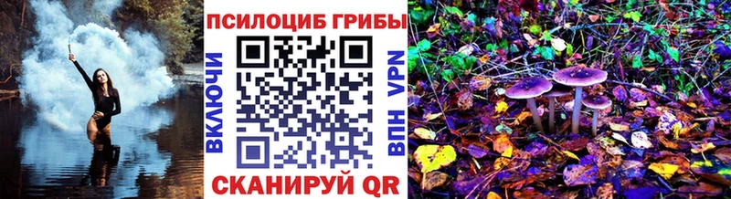 Псилоцибиновые грибы мицелий  Северобайкальск 